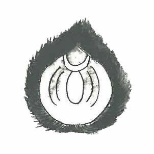 十種神宝,祝詞,音声